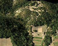 NASA study suggests carbon content of temperate forests overestimated
