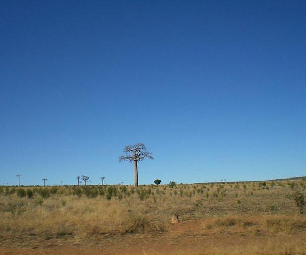 UN warns of famine in drought-ravaged southern Madagascar