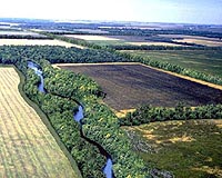 Beneficial Plant Spillover Effect Seen From Landscape Corridors