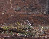 Two dead in Brunei landslides, floods: newspaper