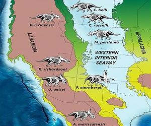 Amazing Horned Dinosaurs Unearthed On 'Lost Continent'