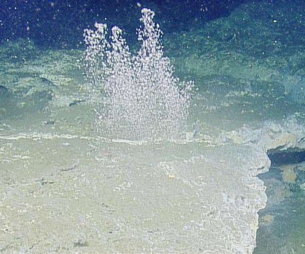 Bubbles of methane rising from seafloor in Puget Sound