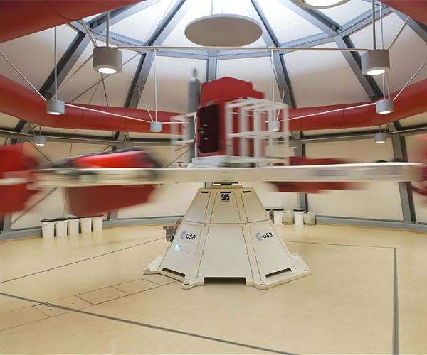 Turning up gravity for space fungi study