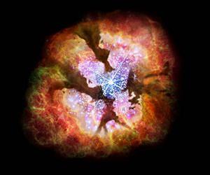 Seeds of Massive Black Holes Found at the Center of the Milky Way Galaxy