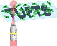 Ultrafast lasers offer 3-D micropatterning of biocompatible silk hydrogels