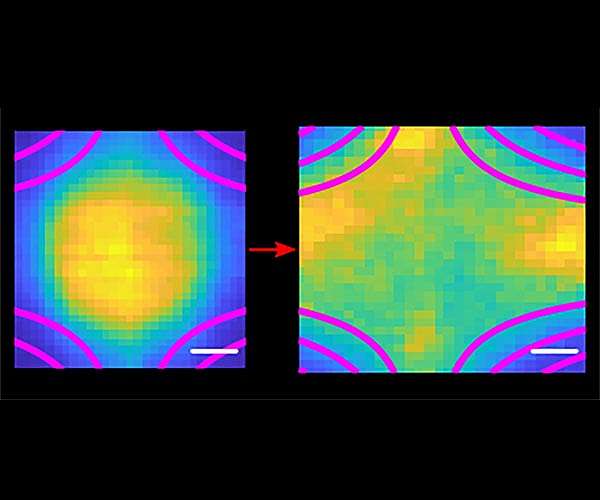 Laser-cooled plasma-in-a-bottle could answer many questions