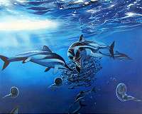 Study explains how the oceans became so diverse
