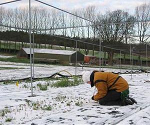 Plant genomes may help next generation respond to climate change