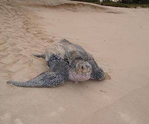 Helping North America's marine protected areas adapt to a changing climate