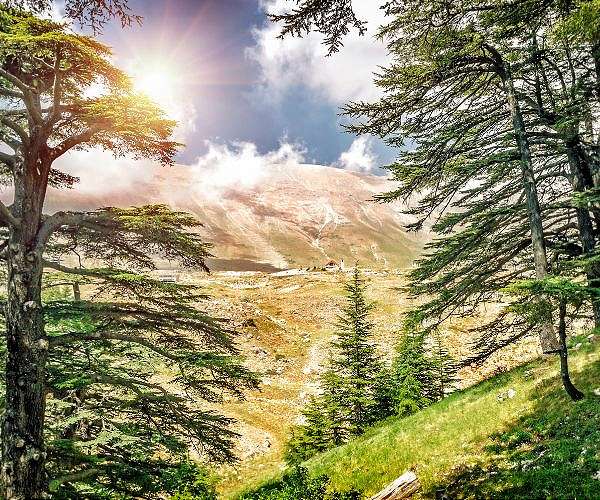US hits Lebanese environmental group with sanctions