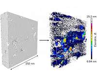 Structure of fossil-fuel source rocks is finally decoded