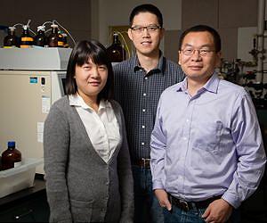 Team uses forest waste to develop cheaper, greener supercapacitors
