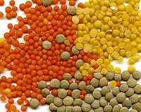 India to tackle drought shortfalls with imports: minister