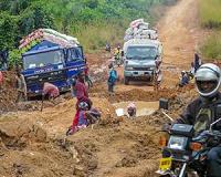 One of the last strongholds for Western chimpanzees