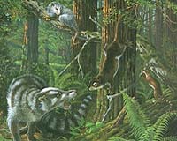 How global wide warming changed Earth 56 million years