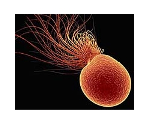 Hot new manufacturing tool: A temperature-controlled microbe