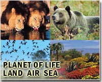 Protect 30% of planet by 2030: UN Nature rescue plan