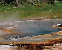 Primordial Soup Not Simmering