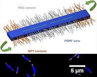 Polymer crystals hold key to record-breaking energy transport