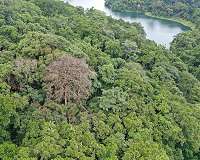 Climate change 'fuelling deadly India lightning strikes'