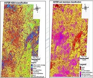 Global economic pressures trickle down to local landscape change, altering disease risk