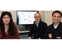 Syracuse chemists combine biology, nanotechnology to create alternate energy source