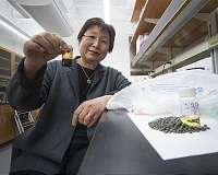 Millions of tons of plastic waste could be turned into clean fuels, other products