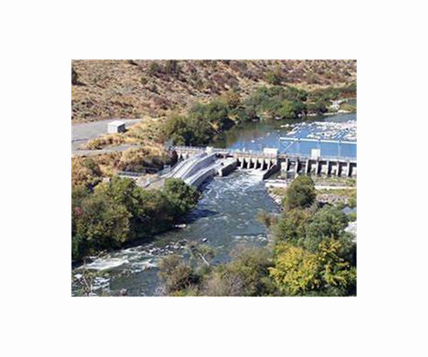 Dams may help against climate change, but harm fish, freshwater ecosystems