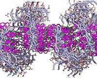Scientists create new thin material that mimics cell membranes