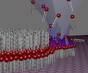 Direct 'writing' of artificial cell membranes on graphene