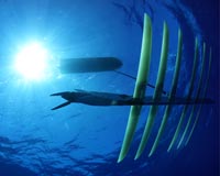 Boeing unit, Liquid Robotics to collaborate on maritime surveillance