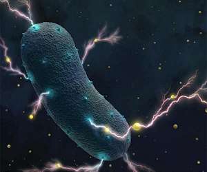 Report seeks to integrate microbes into climate models