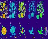 Scientists Track 3D Nanoscale Changes in Rechargeable Battery Material During Operation
