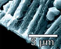 Coating developed by Stanford researchers brings lithium metal battery closer to reality