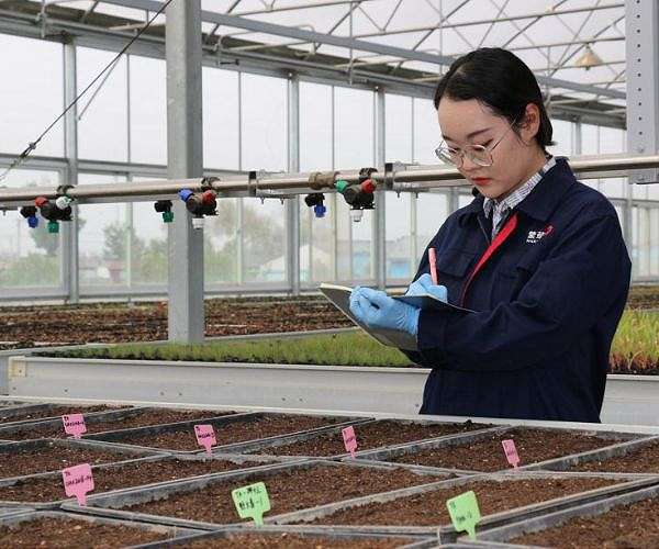 Earth bacteria could make lunar soil more habitable for plants