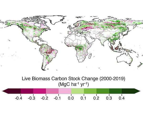 NASA study finds tropical forests' ability to absorb carbon dioxide is waning