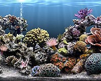 China fishes for growth with world's largest aquarium
