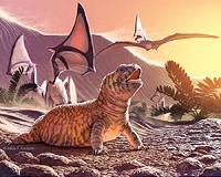 Lizards dream too, study suggests