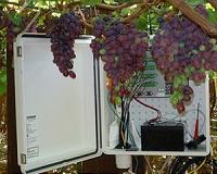 Chinese students imbibe secrets of Burgundy winemaking