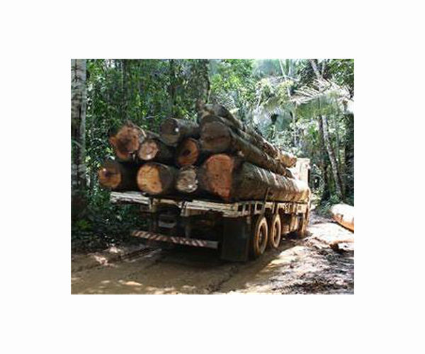 Malaysia disputes EU's deforestation risk rating, citing outdated data