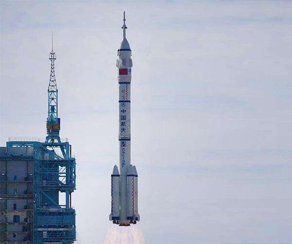 Orchids in orbit: Seeds tested in space