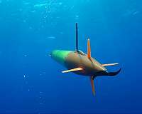 Self-driving robots collect water samples to create snapshots of ocean microbes