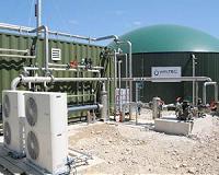 South American Egg Producer Invests in German Energy Plant Technology