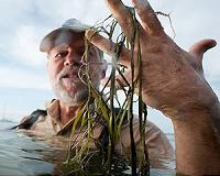 Embrace the chaos: Predictable ecosystems may be more fragile