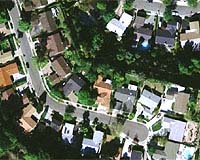 California's urban trees offer $1 billion in benefits