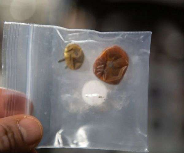 NASA: Let's Ketchup on International Space Station Tomato Research