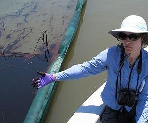 At Pass a Loutre, oil seeps deep into Louisiana marshlands