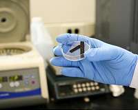 Low-cost catalyst boosts hydrogen production from water