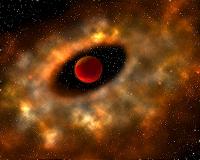 Space dust may transport life between worlds, research suggests