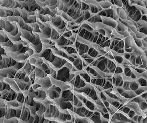 Cotton with special coating collects water from fogs in desert